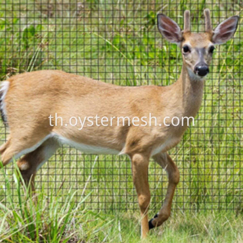 Deer Netting